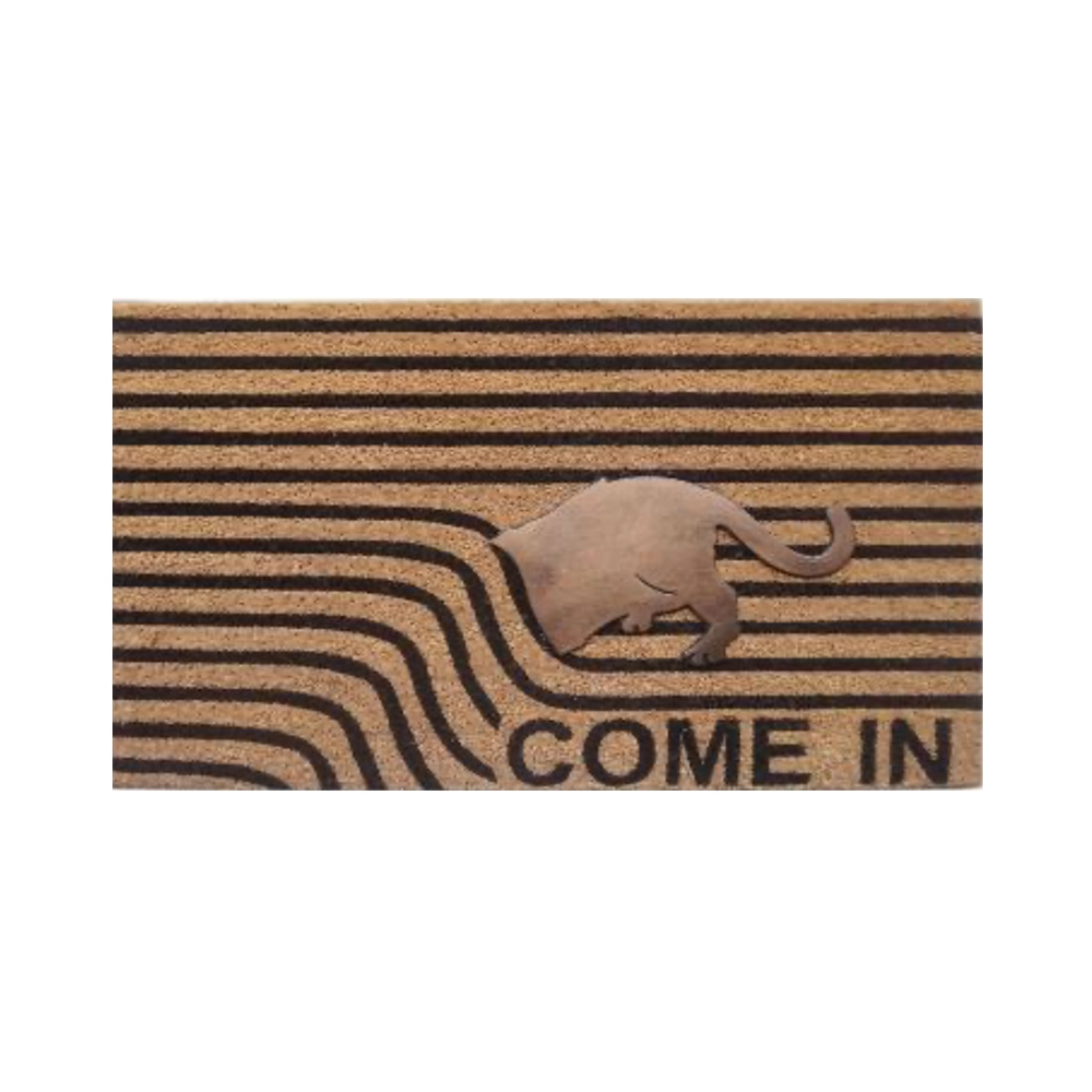 Bathmat Come in Outdoor Mat