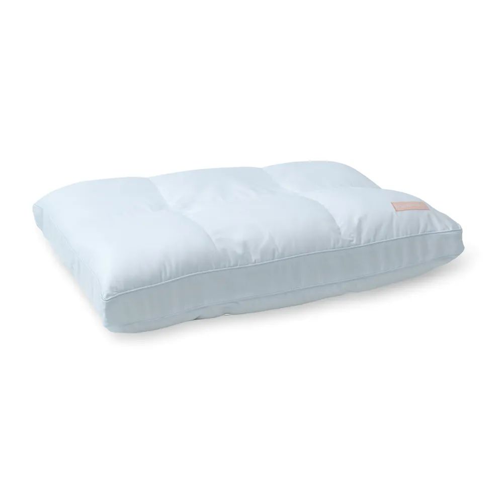 pillow_converted Ergosmart Pillow